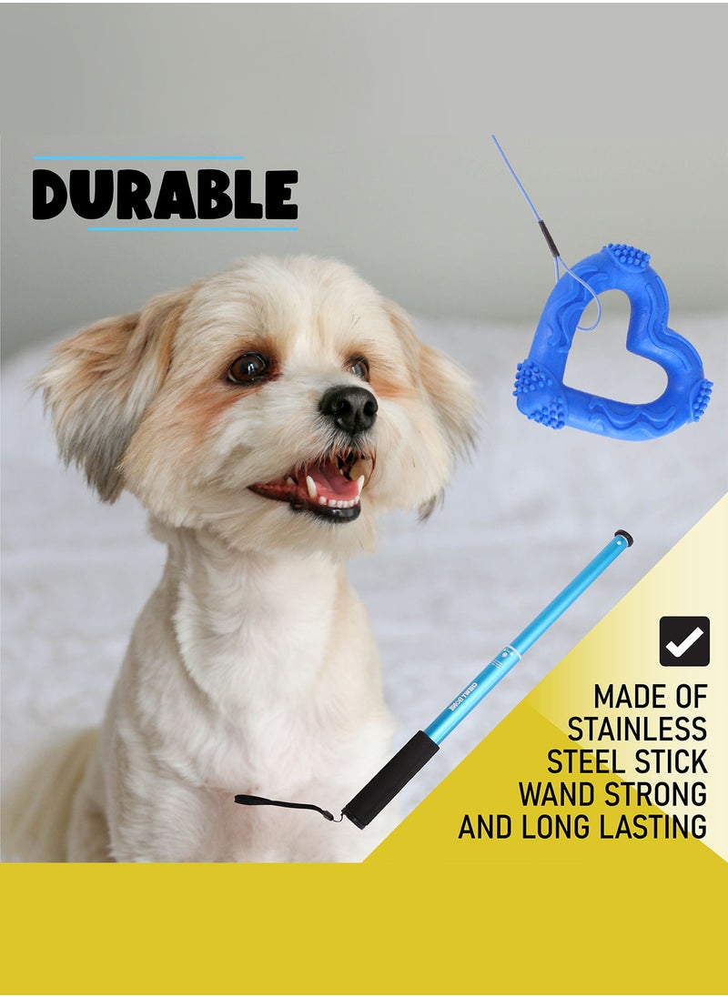 CHEWY BONE - Dog teaser toy for small dogs and puppies - Image 1