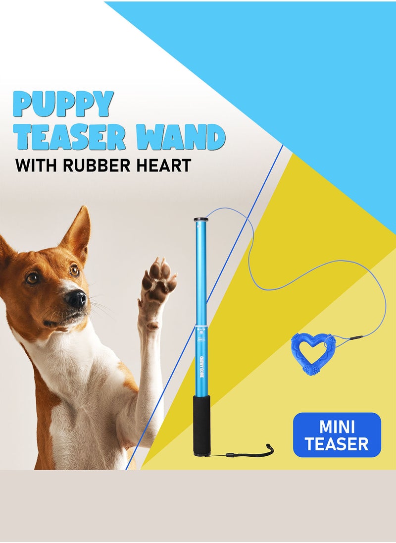 CHEWY BONE - Dog teaser toy for small dogs and puppies - Image 1