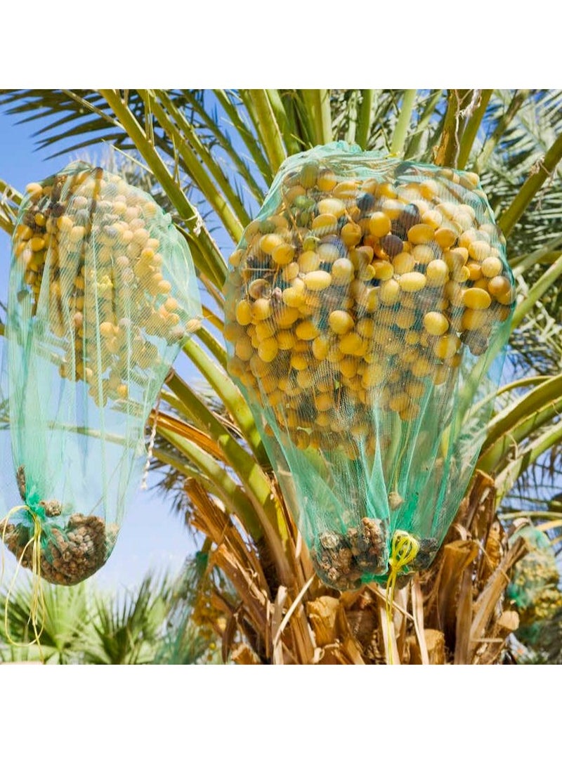 MONO Mono Date Palm Tree Net Bag PE Mesh Date Bag 25pcs (90cm x 70cm)  - Image 3