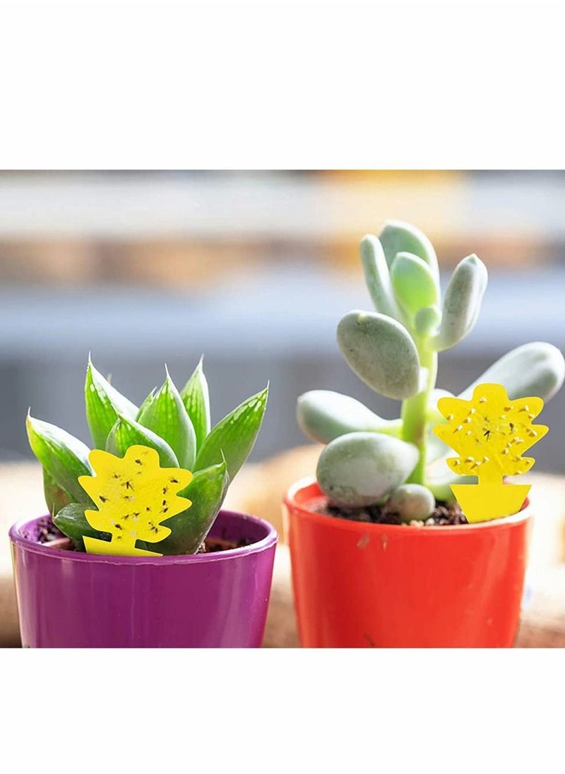 Excefore - Sticky Trap, Double Sided Yellow Special Shaped Sticky Insect Board Fruit Fly And Fungus Gnat Trap Killer Indoor And Outdoor, Protect The Plant, Non Toxic And Odorless (12 Pack, Pine Cone) - Image 1