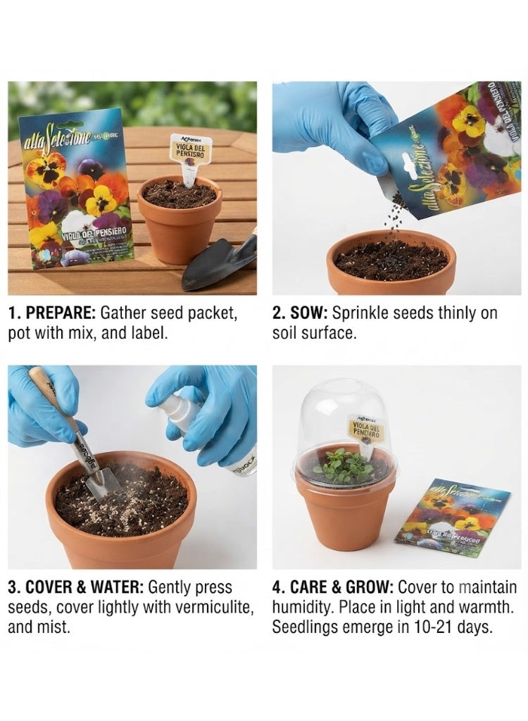Franchi Pansy Premium Quality Seeds - Image 2