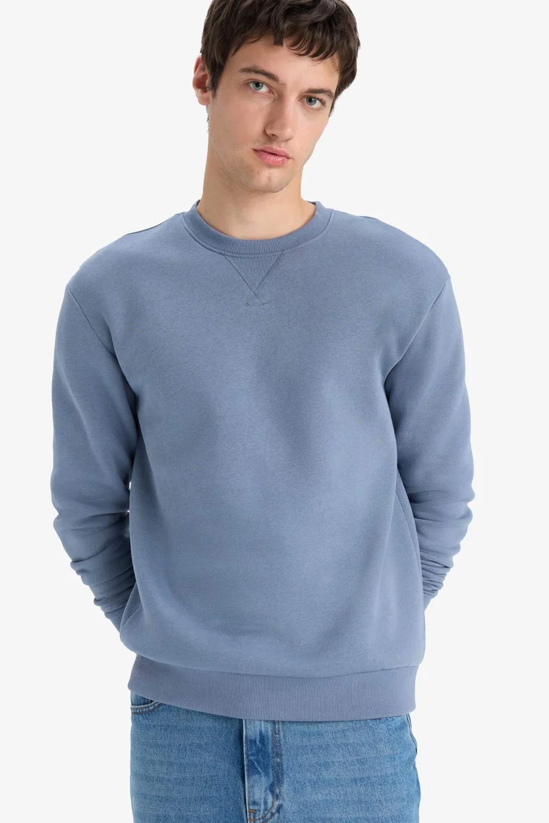 ديفاكتو Regular Fit Crew Neck Basic Thick Sweatshirt