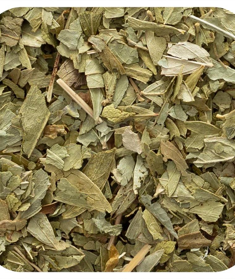 Cut & Sifted Senna Leaf 16 oz (453 g)