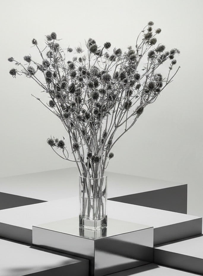 فانسي فلورز إيرينجيوم بلانوم مجفف من فاني (مطلي)، سيقان طبيعية مجففة فاخرة بطول 40–60 سم – لون فضي - Image 2