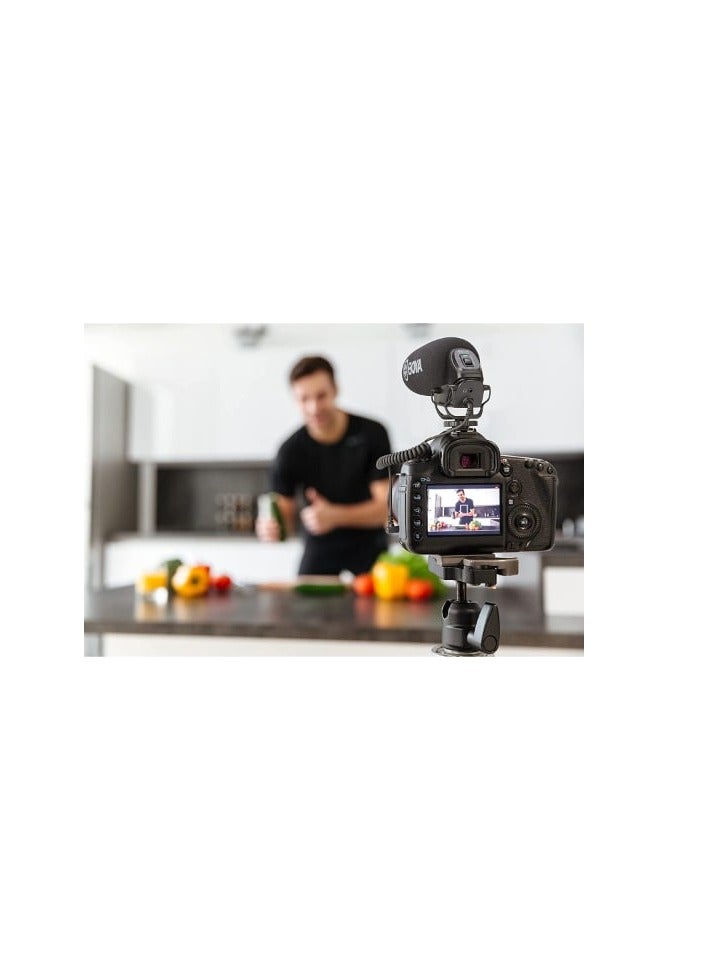BOYA BOYA Supercardioid Video Microphone BM3030 - Image 4