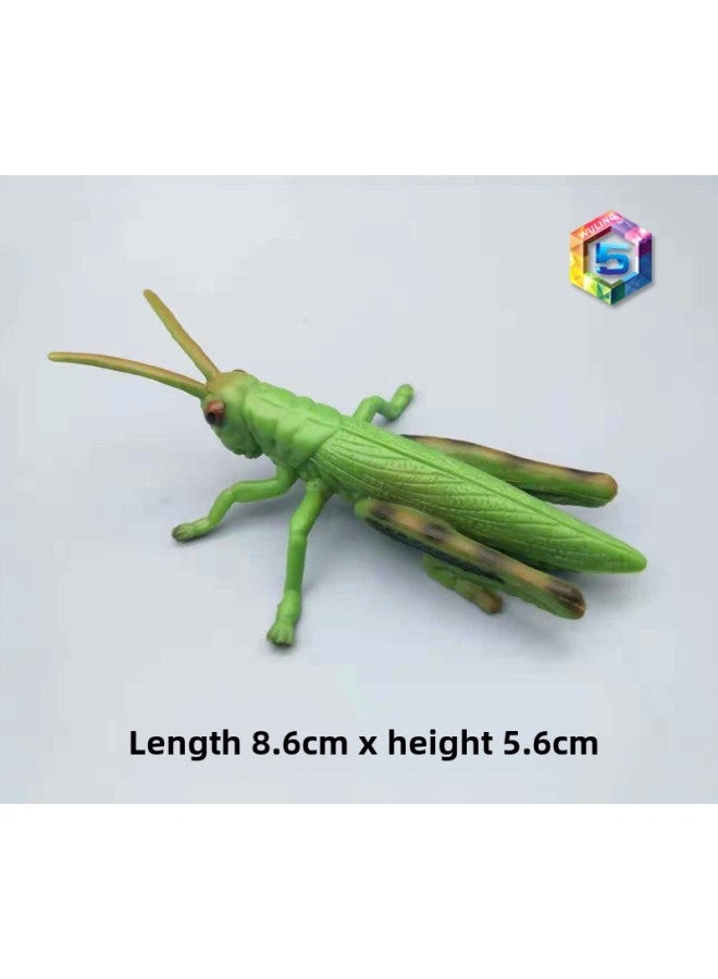 Simulation Animal Insect Model Cognitive Toy Spider Butterfly Bee Cockroach Caterpillar And Other Animal Model Toy-Color:656 Grasshopper  - Image 1