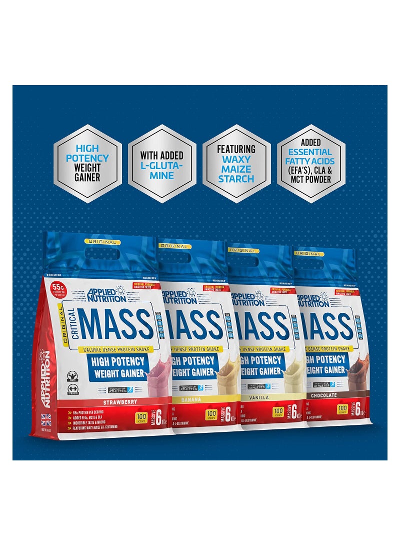 Applied Nutrition Mass Gainer -Critical Mass Weight Gainer- Vanilla Flavor 6Kg - Image 5