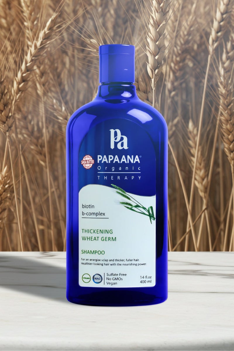 Papaana Organic Thickening Wheat Germ Shampoo with Shea Butter – 400ml, Strengthens & Thickens for Fuller, Healthier Hair with Shea Butter & Thickening Wheat Germ Conditioner with Shea Butter – 400ml, Strengthens & Thickens for Fuller, Healthier Hair with Shea ButterBundle - Image 2