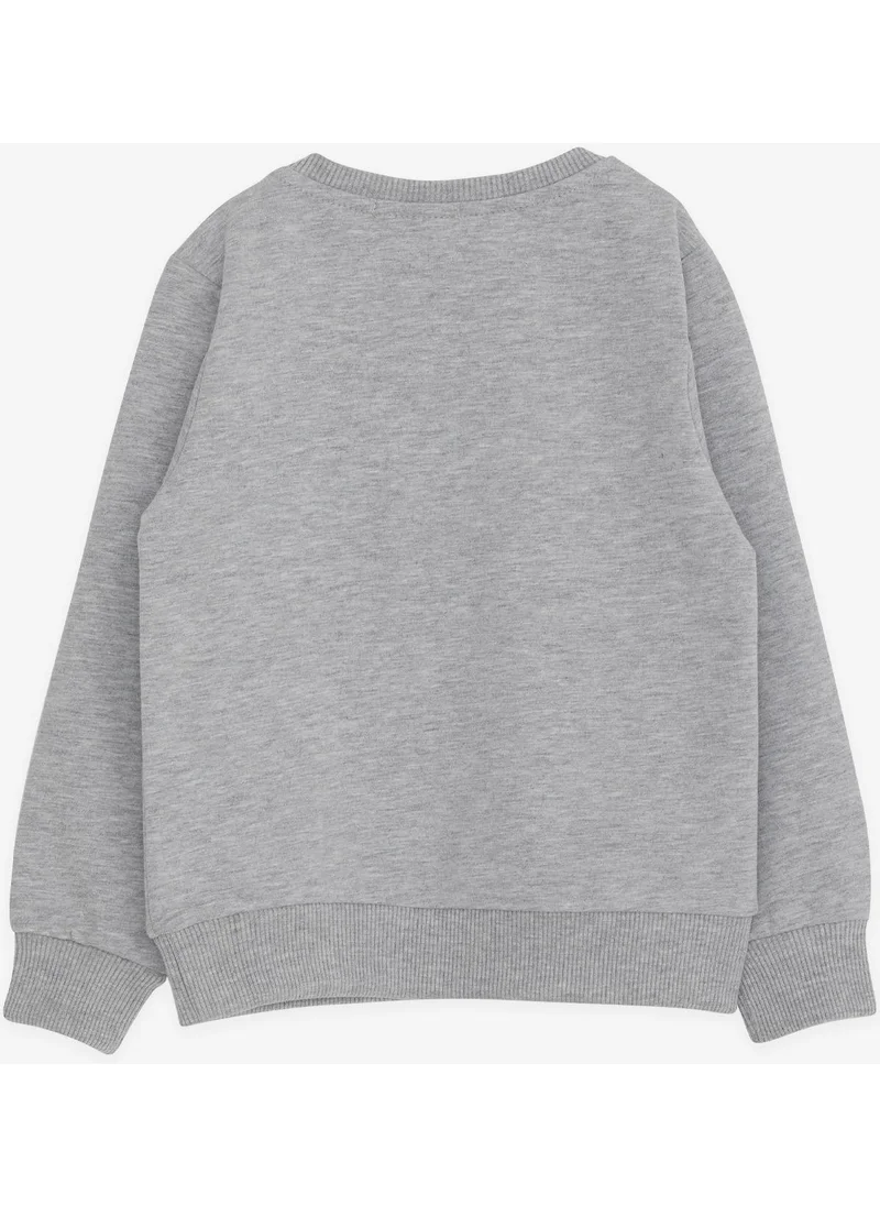 Breeze Boy's Sweatshirt Text Printed, Age 2-6, Gray Melange