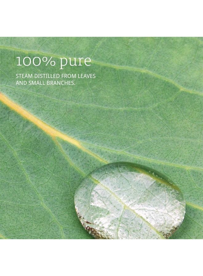 now Eucalyptus Essential Oil, 2 Fl Oz (1 Count) - Image 3