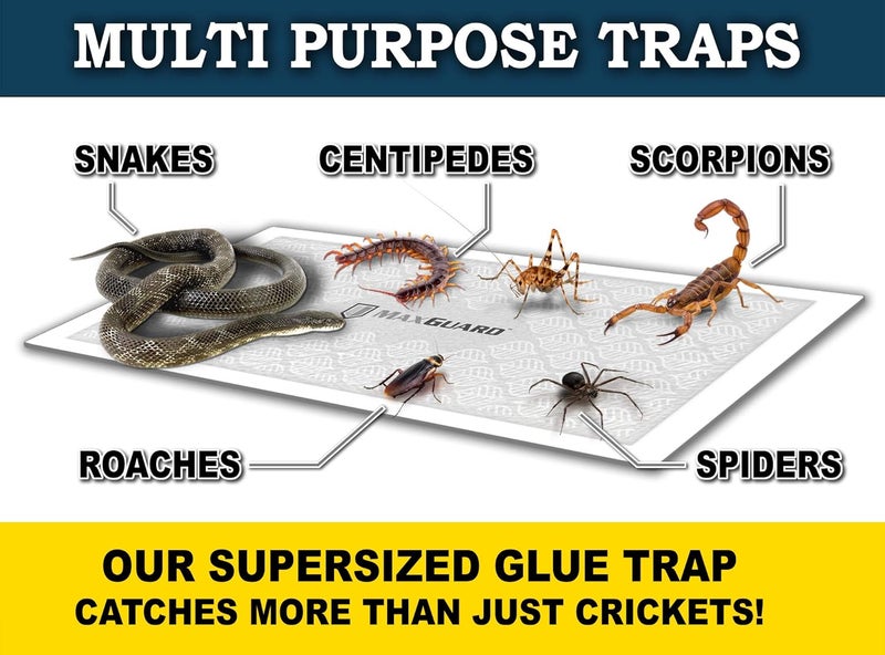 MaxGuard Extra Large Cricket Traps (8 Traps) | Non-Toxic Extra Sticky Glue Board Pre-Baited Cricket Attractant Trap & Kill House Crickets, Insects, Spiders, Bugs - Image 5