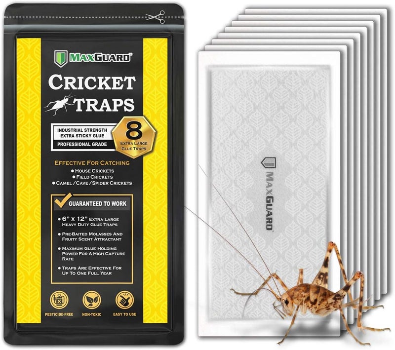 MaxGuard Extra Large Cricket Traps (8 Traps) | Non-Toxic Extra Sticky Glue Board Pre-Baited Cricket Attractant Trap & Kill House Crickets, Insects, Spiders, Bugs - Image 1
