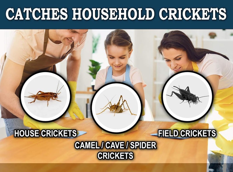 MaxGuard Extra Large Cricket Traps (8 Traps) | Non-Toxic Extra Sticky Glue Board Pre-Baited Cricket Attractant Trap & Kill House Crickets, Insects, Spiders, Bugs - Image 4