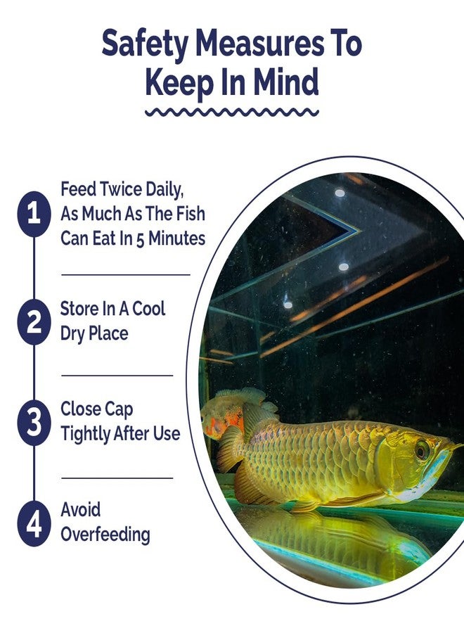 Intan Aquatic Arowana Sticks Fish Food | Big Floating Stick for Arowana Fish | Large Pack 1 kg, Pellet Size 3.5 mm Dia and 9.5 mm Length, all life stages - Image 4