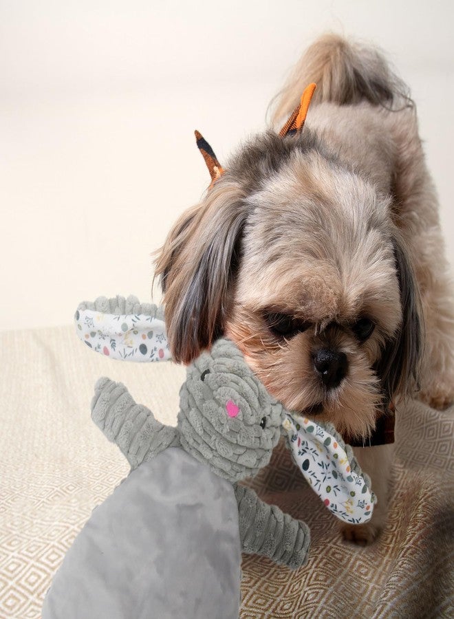 Linzy Plush Gray Bunny Dog Toy, Soft Squeaky Chew Toy for Small Medium Large Dogs,Interactive Pet Toy with Flat Crinklez- 12“ - Image 5