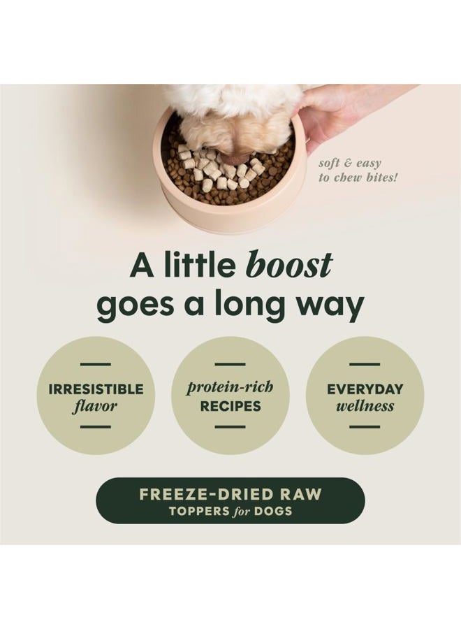 Instinct Raw Boost Mixers Chicken Freeze Dried Dog Food Topper - 6OZ - Image 3