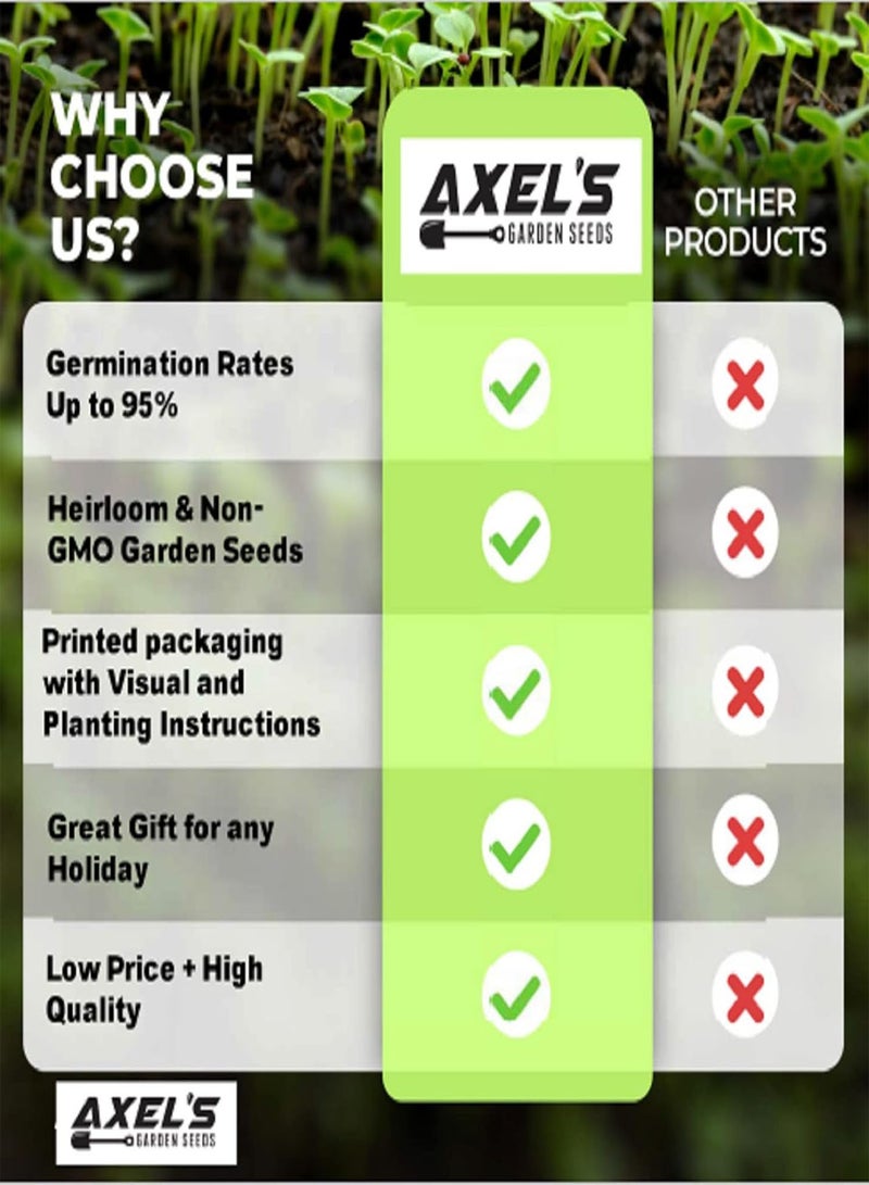 GGOOT Bulk Pea Seeds for Planting - Grow Mammoth Snow Melting Sugar Pod Peas in Home Outdoor Garden - Non-GMO Heirloom with Instructions to Plant a Home Vegetable Garden (1 Pound)  - Image 4