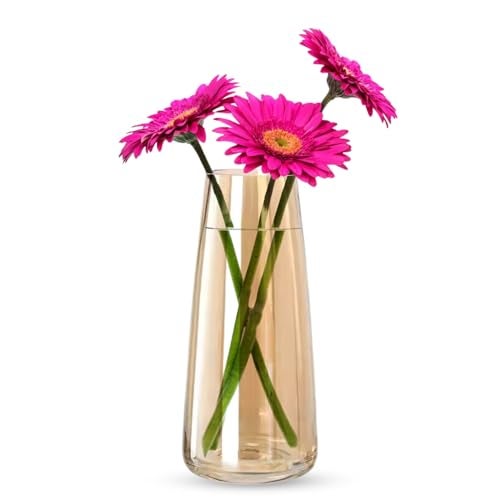 Clovefry 9 Inch Decorative Vases for Flowers | Glass Flower Vase for Living Room | Aesthetic Home Decor | Glass Planter for Living Room Decor, Dining Table, Wedding Decoration (Crystal Amber) - Image 1
