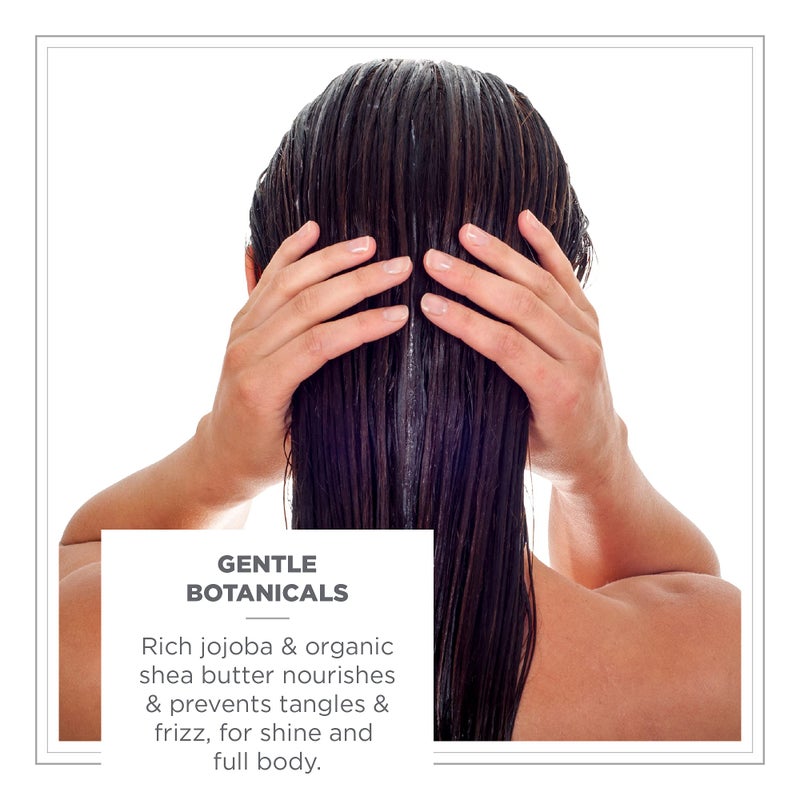 Zents Moisturizing Conditioner, Color Safe and Sulfate-Free with Organic Shea Butter & Jojoba Oil for All Hair Types, 10 fl oz - Image 3