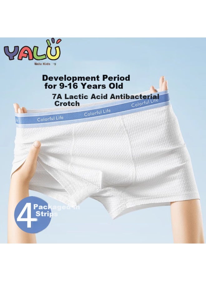 Yalu Teenage Underwear Children's Class A Pure Cotton Antibacterial 9-16 Years Old Developmental Stage Square Pants Boys Junior High School Students Shorts - Image 1