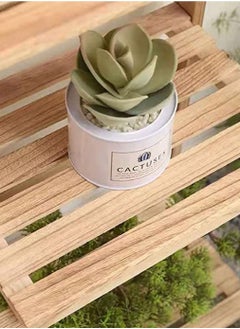 WENBO 4 Tier Flower Stand For Home Décor Gardening  - Image 4