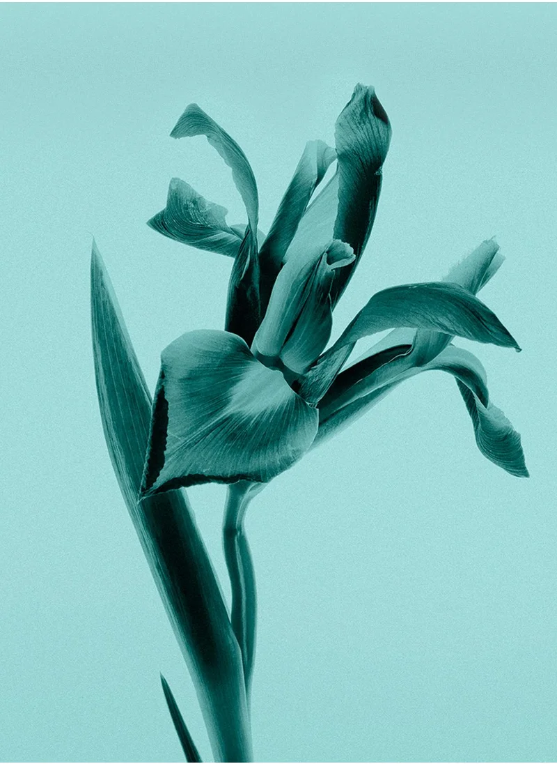 Tiffany Co Tiffany Intense Eau De Parfum 50ml