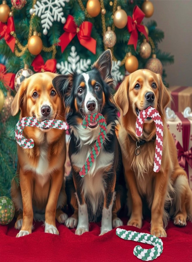 Yteseery 4 Pack Christmas Dog Toys Rope Cane Candy Pet Toys Interaction Training Toys for Small Medium Dog, Festive for Pets, Durable Safe Holiday Pet Supplies - Image 2