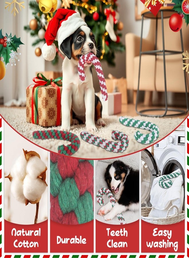 Yteseery 4 Pack Christmas Dog Toys Rope Cane Candy Pet Toys Interaction Training Toys for Small Medium Dog, Festive for Pets, Durable Safe Holiday Pet Supplies - Image 4