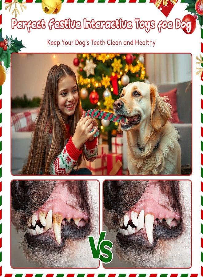 Yteseery 4 Pack Christmas Dog Toys Rope Cane Candy Pet Toys Interaction Training Toys for Small Medium Dog, Festive for Pets, Durable Safe Holiday Pet Supplies - Image 5