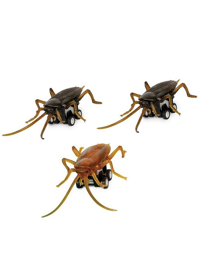 Novelty Gag Gift Racing Roaches 3 Piece Set