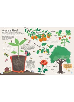 Plants: Why Do We Need Them  - Image 5