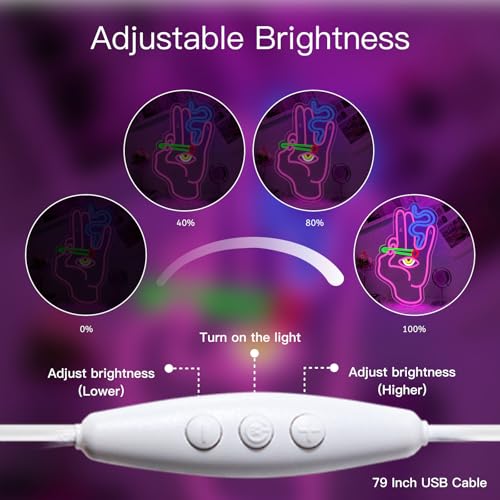WLHOPE Evil Eye Hand Neon Sign for Wall Decor Pink Blue Led Lights Hamsa Light Signs USB Connectivity Eye Neon Light Signs for Bedroom Game Room Home Bar Pub Cafes Party Gift - Image 5