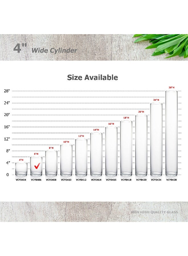 WGVI مزهرية زجاجية أسطوانية شفافة سميكة وثقيلة من WGVI، 4" عرض × 6" ارتفاع، حوامل شموع زجاجية لترتيب الزهور، قطع مركزية للزفاف، حاوية نباتات تيراريوم، حاوية تخزين زهور، حامل أقلام وفرش، قطعة واحدة - Image 3