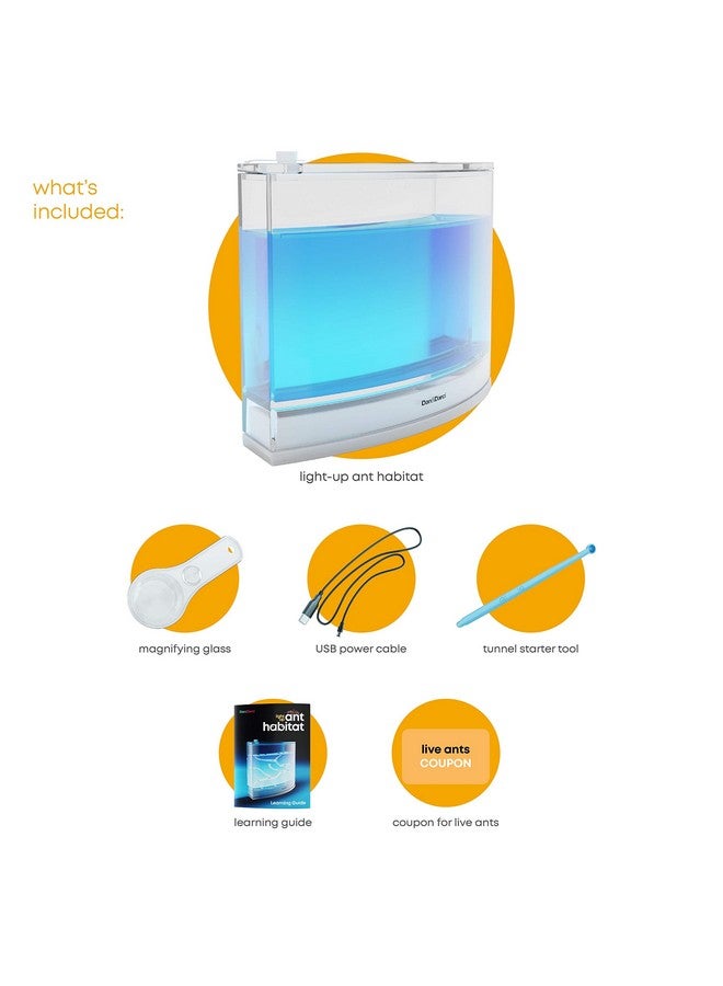 دان آند دارسى مجموعة تررم مزرعة النمل المضيئة للأطفال - موئل للنمل الحي مع جل غني بالمغذيات - شاهد النمل يحفر أنفاقه - تعلم الطبيعة، ألعاب علمية، هدية تجريبية للأولاد والبنات - Image 2