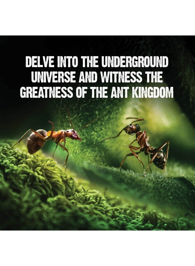 دان آند دارسى مجموعة تررم مزرعة النمل المضيئة للأطفال - موئل للنمل الحي مع جل غني بالمغذيات - شاهد النمل يحفر أنفاقه - تعلم الطبيعة، ألعاب علمية، هدية تجريبية للأولاد والبنات - Image 5