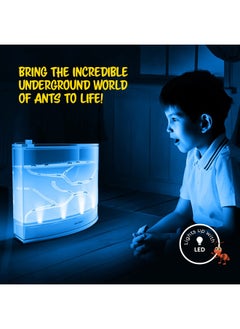 Light-Up Ant Farm Terrarium Kit For Kids - Led Habitat For Live Ants With Nutrient Rich Gel - Watch Ants Dig Their Own Tunnels - Nature Learning, Science Toys, Experiment Gift For Boys & Girls - pzsku/ZD4504A66E4C4AADD2A80Z/45/_/1722596701/b3736429-f529-401b-b679-caeb5d724a8e