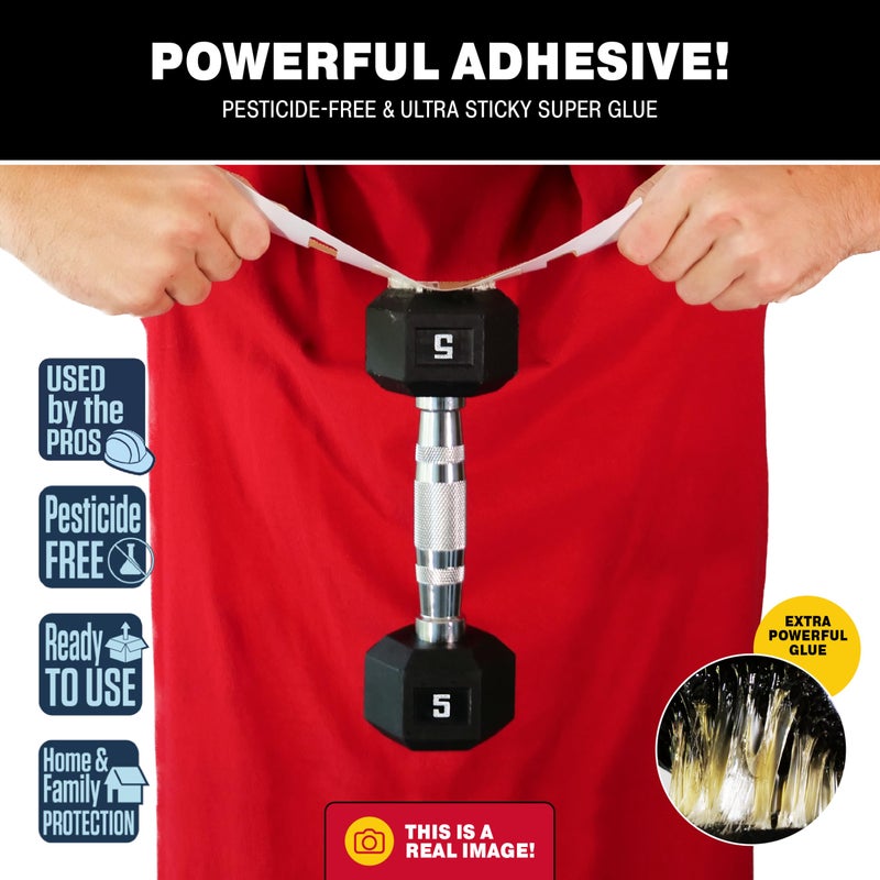 Catchmaster Spider & Insect Glue Traps 30-Pk (10 Sheets), Adhesive Cockroach Killer Glue Boards, Spider Traps, Cricket Sticky Trap, Indoor Roach Trap for Home, Garage & Shed, Pest Control for Home - Image 2