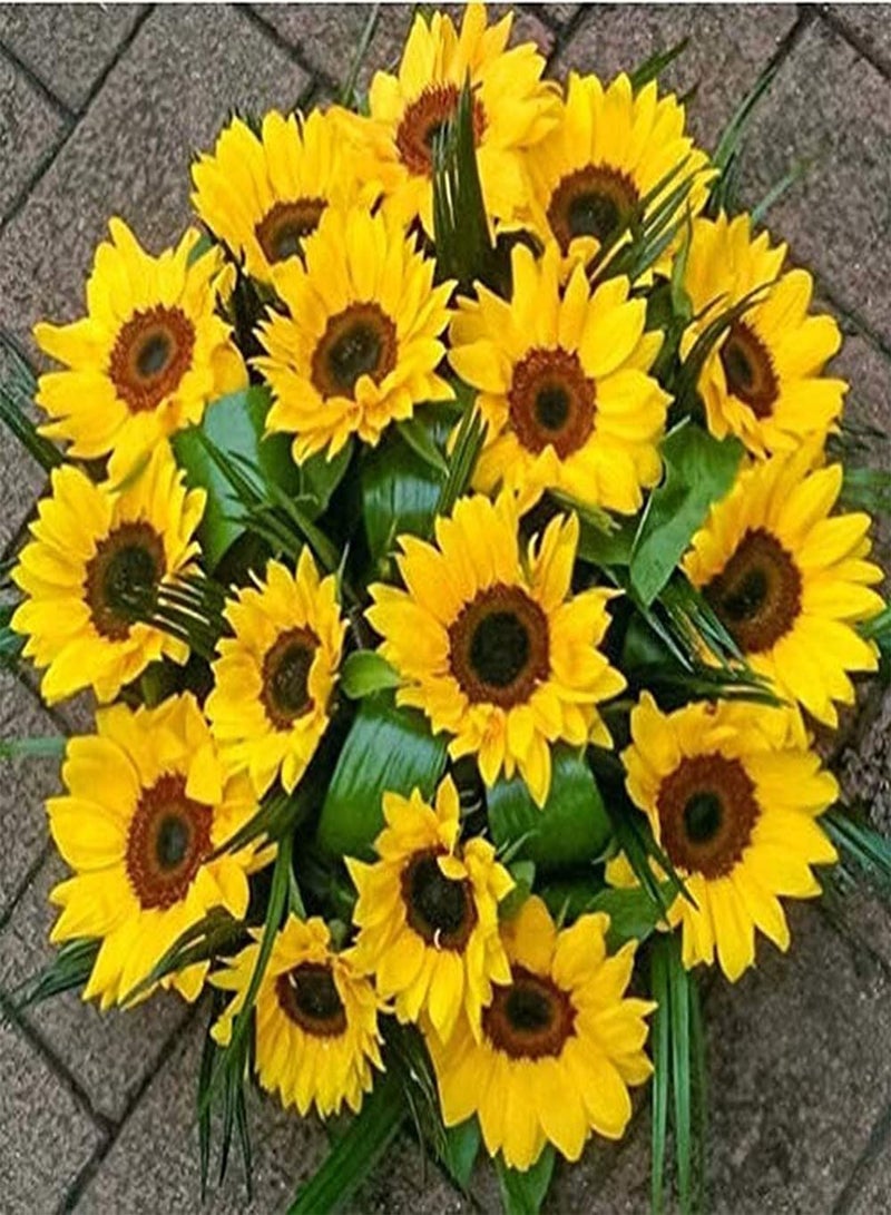 GGOOT 60pcs Sunflower Seeds Simple Natural Annual Sunflower Flowers for Patio Garden Terrace Planting Easy to Take Care of A Sense of Accomplishment - Image 1