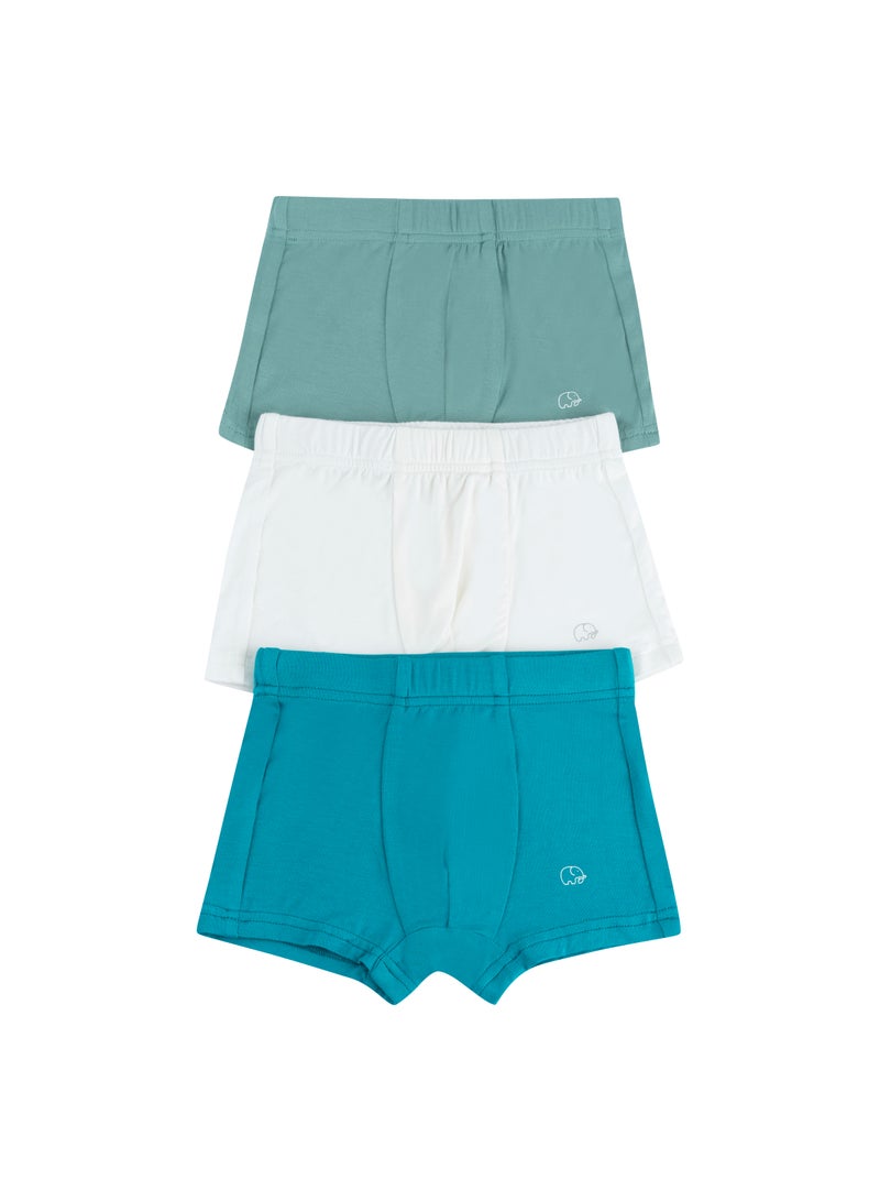 Anvi Baby Organic Bamboo Boxer Brief Underwear Set Of 3- Blue/White/Green  - Image 1