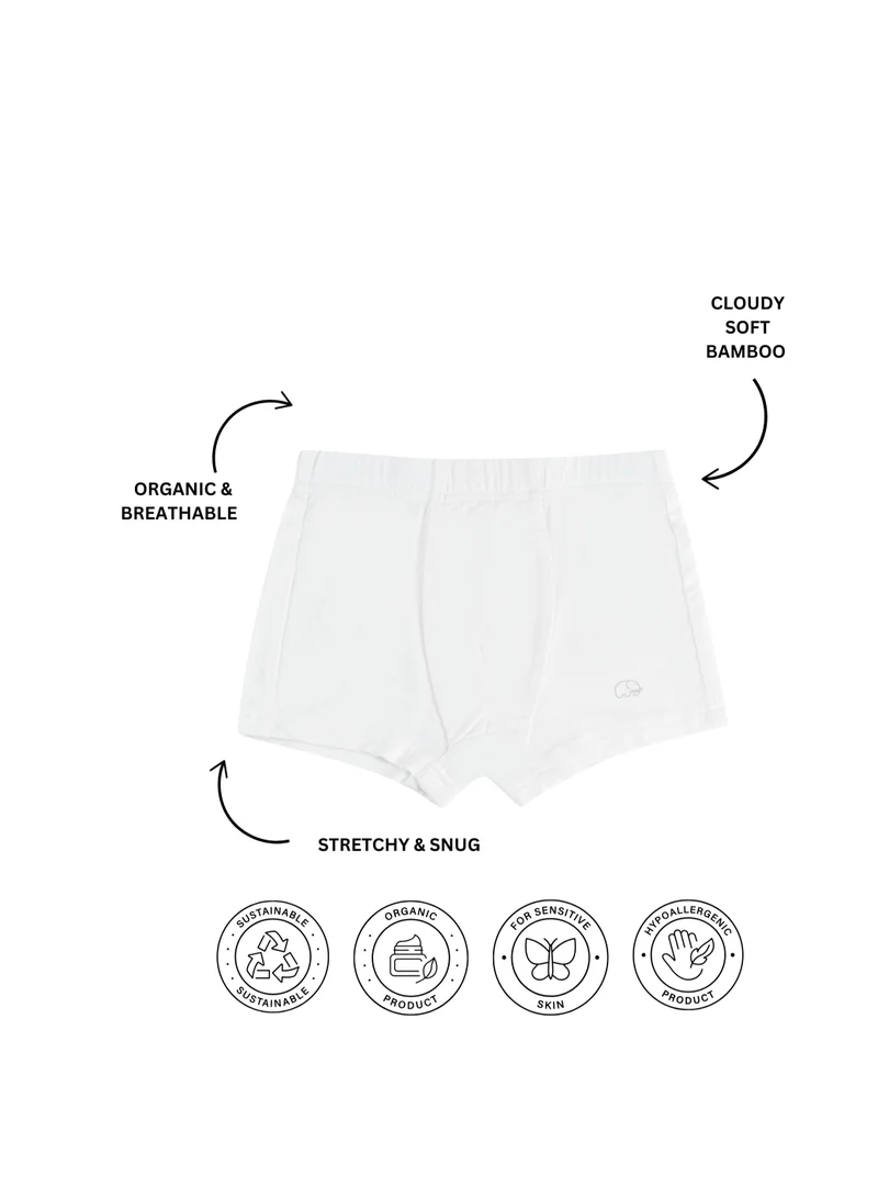 Anvi Baby Organic Bamboo Boxer Brief Underwear Set Of 3- Blue/White/Green