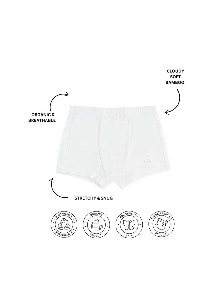 Anvi Baby Organic Bamboo Boxer Brief Underwear Set Of 3- Blue/White/Green  - Image 4