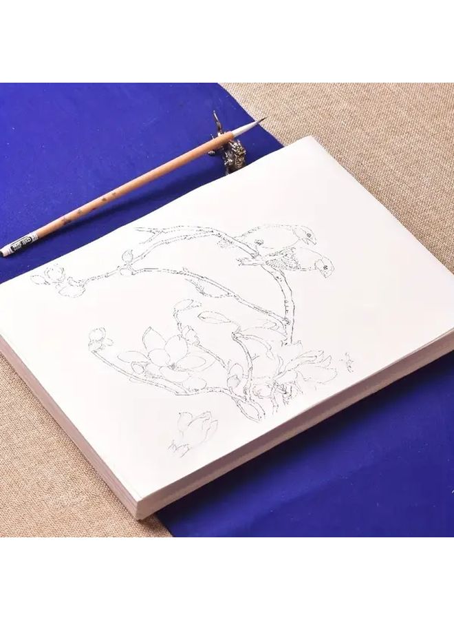 ورق أرز فاخر لرسم الطيور والزهور بحجم كبير مع 97 صورة للطيور إجمالاً، مثالي للمبتدئين لممارسة الرسم الخطي وتقنيات الرسم الصيني التقليدي. - Image 4
