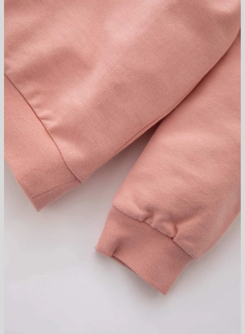 DeFacto 2 Pack BabyGirl Bike Neck Long Sleeve Knitted Set