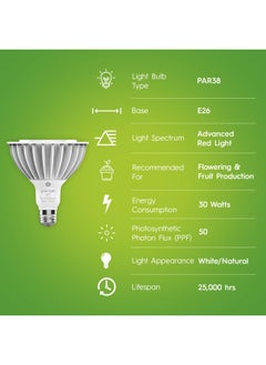 Grow Led Light Bulb For Plants Flowers And Fruiting With Advanced Red Light Spectrum Par38 Outdoor Floodlight 1 Pack - pzsku/ZD456AE517202CF85BCB4Z/45/_/1721976431/334c2e7f-746f-4bd5-992b-2d6ab83b2763