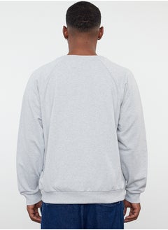 Regular Sweatshirt - pzsku/ZD45996CA094BD1DA702DZ/45/_/1730940024/057da8ee-ef08-4f9f-99b0-04fbc51342cb