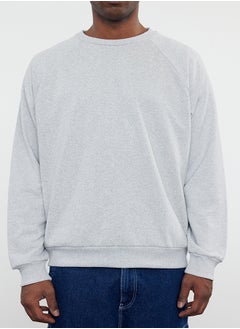 Regular Sweatshirt - pzsku/ZD45996CA094BD1DA702DZ/45/_/1730940030/97220add-a585-4d30-a220-001cebca511e