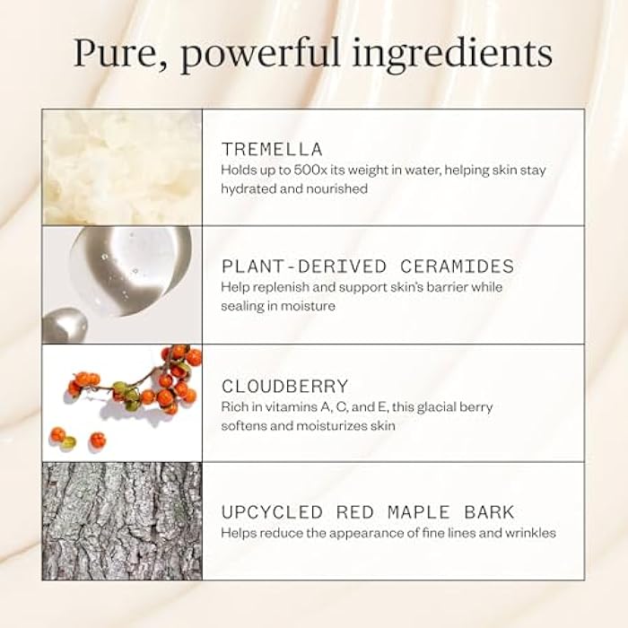Ursa Major Alpine Rich Cream | Deeply Hydrating & Moisturizing Natural Face Lotion | Supports Skin Barrier and Targets Fine Lines | Vegan, Non-Toxic, Cruelty-Free | 1.69 ounce - Image 4