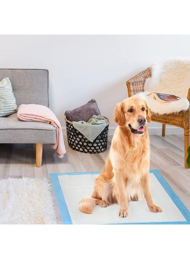 SKY-TOUCH Disposable Absorbent Quick Drying Leak-Proof Pee Pads, Disposable Training Pads For Pets with 5 Highly Absorbent Layers, Puppy Pads For Potty Training For Pets 60X60cm, 40 Pieces - Image 5