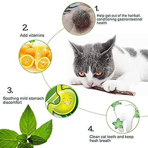Ueerdand 10 PCS Catnip Sticks Organic Cat Chew Toys Natural Plant Matatabi Silvervine Chew Sticks Teeth Cleaning Chew Toy Kitten Kitty - Image 4
