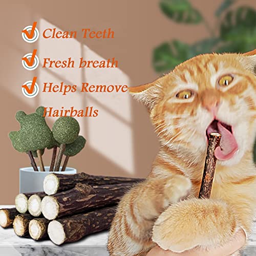 Ueerdand 10 PCS Catnip Sticks Organic Cat Chew Toys Natural Plant Matatabi Silvervine Chew Sticks Teeth Cleaning Chew Toy Kitten Kitty - Image 5
